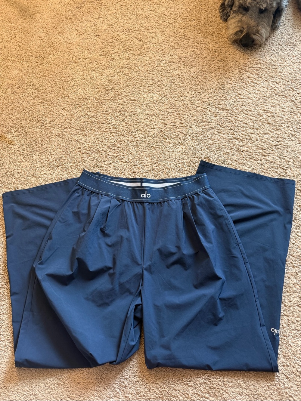 ALO Yoga Women’s Navy Joggers